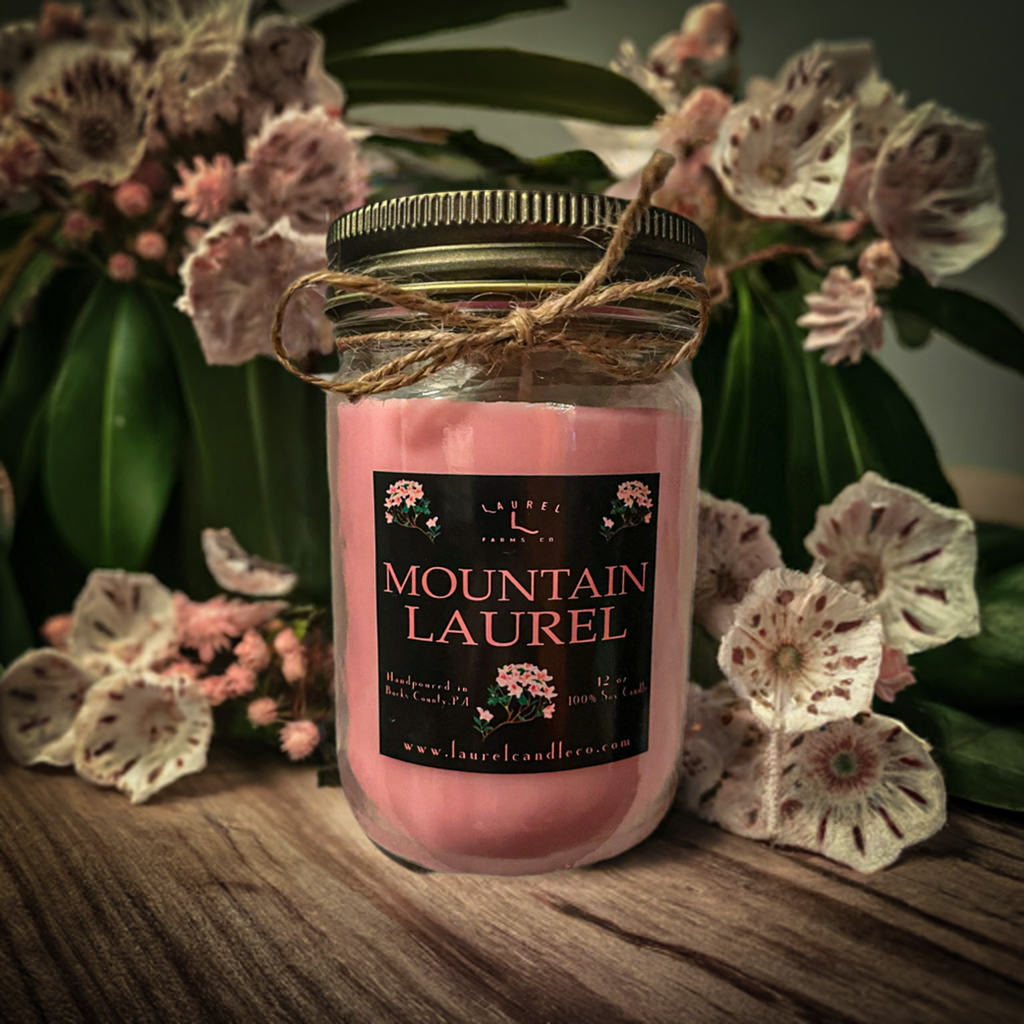 Mountain Laurel 12 Oz Mason Jar Soy Candle - 100% Pure Soy Wax